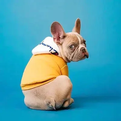 personalised pet gifts