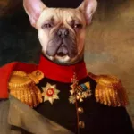 animal-caricature-portrait-22