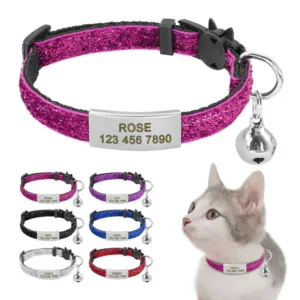Cat Breakaway Collar with Name - Photo 1