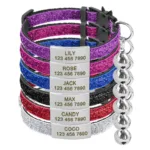 Cat Breakaway Collar with Name - Photo 8