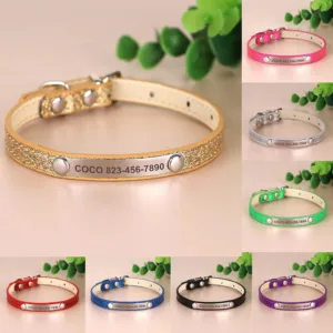 Cat Collar Personalised - Photo 1