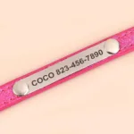Cat Collar Personalised - Photo 2