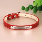 Cat Collar Personalised - Photo 3