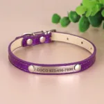 Cat Collar Personalised - Photo 5