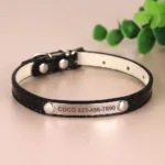 Cat Collar Personalised - Photo 6