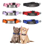 Cat Collar with Name - Photo 1