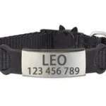 Cat Collar with Name - Photo 3