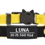 Cat Collar with Name - Photo 4