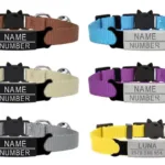 Cat Collar with Name - Photo 5