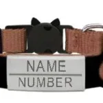 Cat Collar with Name - Photo 8