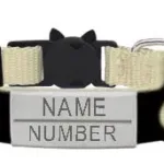 Cat Collar with Name - Photo 9