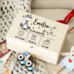 custom-birth-box-4