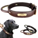Custom Dog Collar with Handle - Photo 1