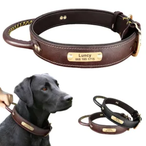Custom Dog Collar with Handle - Photo 1