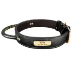 Custom Dog Collar with Handle - Photo 2