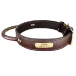 Custom Dog Collar with Handle - Photo 3