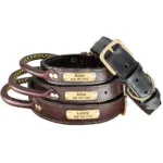 Custom Dog Collar with Handle - Photo 5