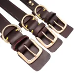 Custom Dog Collar with Handle - Photo 6