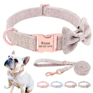 Custom Dog Leash and Collar - Photo 1
