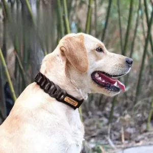 Custom Hunting Dog Collar - Photo 1