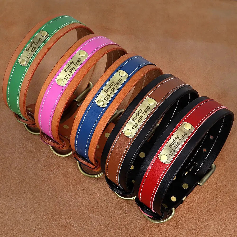 Custom Personalized Dog Collar - Photo 1