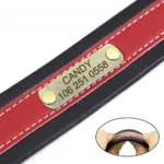 Custom Personalized Dog Collar - Photo 5