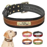 Custom Personalized Dog Collar - Photo 7
