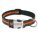 Customised Collar for Dogs - Photo 10