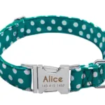 Customised Collar for Dogs - Photo 17