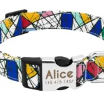 Customised Collar for Dogs - Photo 2