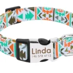 Customised Collar for Dogs - Photo 3