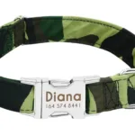 Customised Collar for Dogs - Photo 5