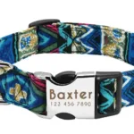 Customised Collar for Dogs - Photo 6