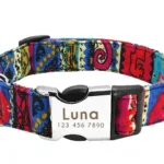 Customised Collar for Dogs - Photo 7