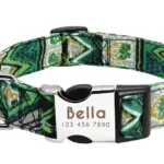Customised Collar for Dogs - Photo 8