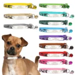 Dog Collar and Name Plate - Photo 1