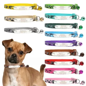 Dog Collar and Name Plate - Photo 1