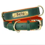 dog-collar-with-engraved-tag-2