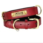 dog-collar-with-engraved-tag-3