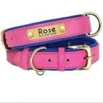 dog-collar-with-engraved-tag-5