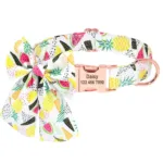 Dog Collar with Engraving - Photo 4