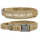 Dog Collar with Handle and Name - Photo 2