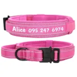 Dog Collar with Handle and Name - Photo 3