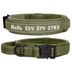 Dog Collar with Handle and Name - Photo 4