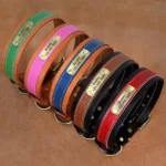 dog-collar-with-name-1