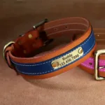 dog-collar-with-name-2