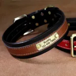 dog-collar-with-name-3