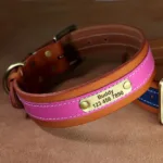 dog-collar-with-name-6