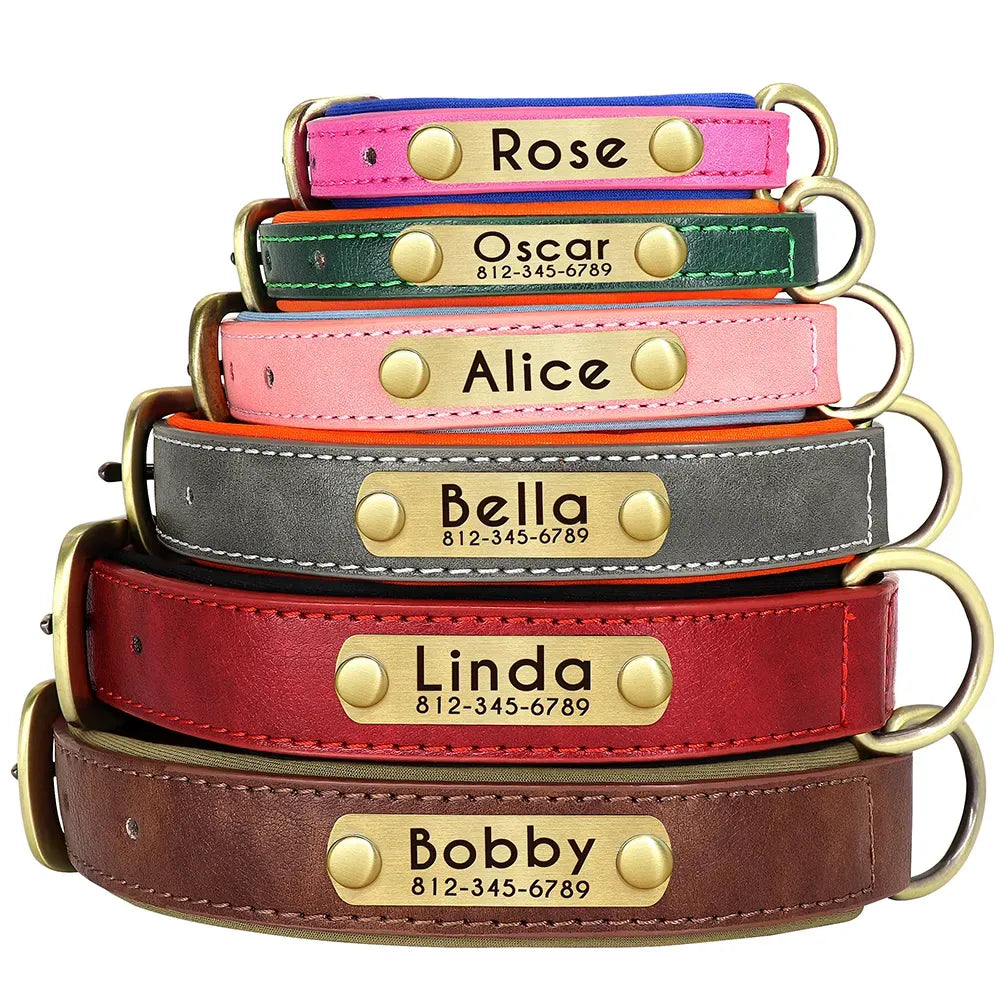Dog Collar with Name Plate - Photo 1