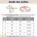 Dog Collar with Name Plate - Photo 10